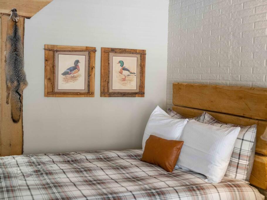 יוריקה ספרינגס Stonegate Lodge 2 Queen Beds Fast Wifi 50In Tv Salt Water Pool Room # 305 מראה חיצוני תמונה